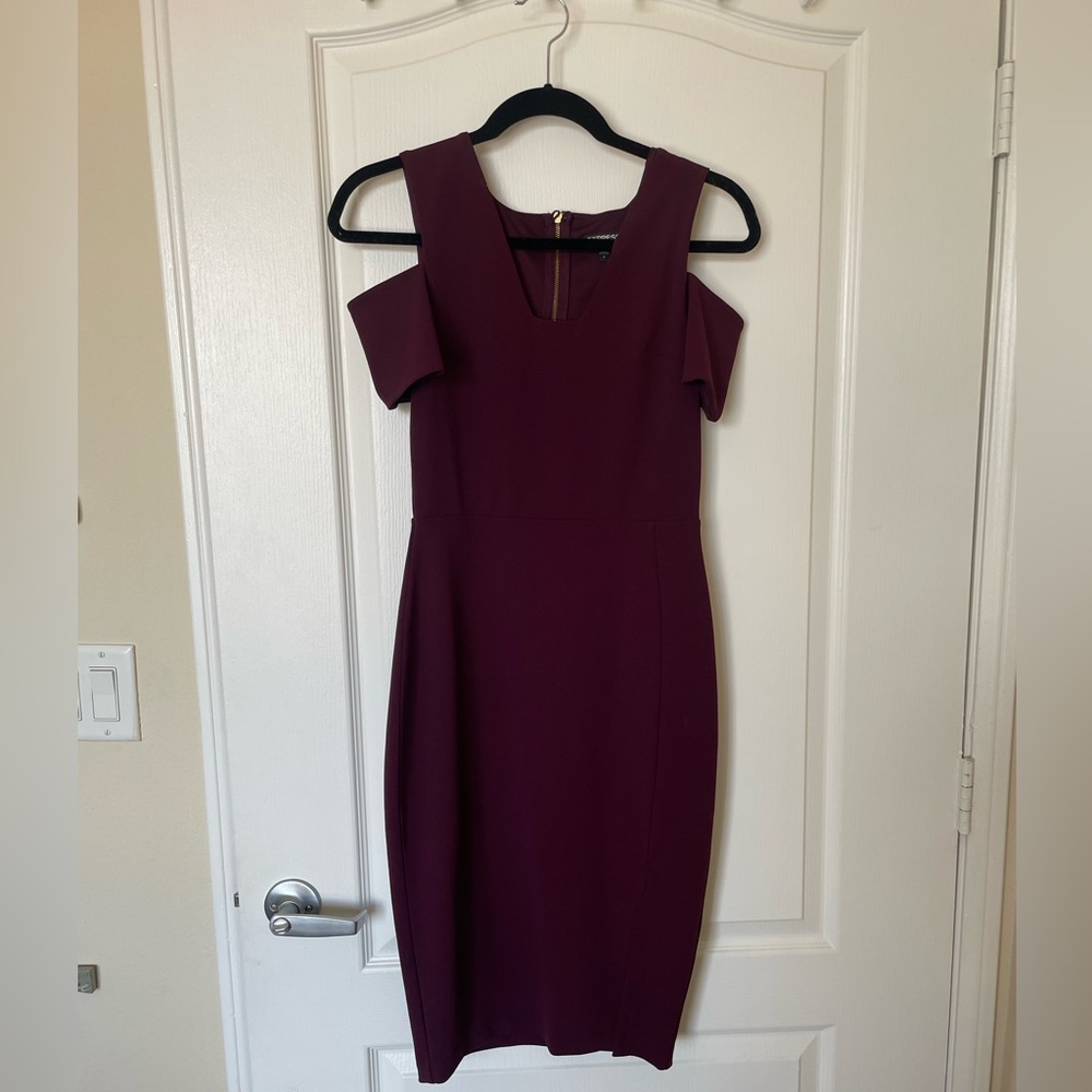 Express Burgundy Dress